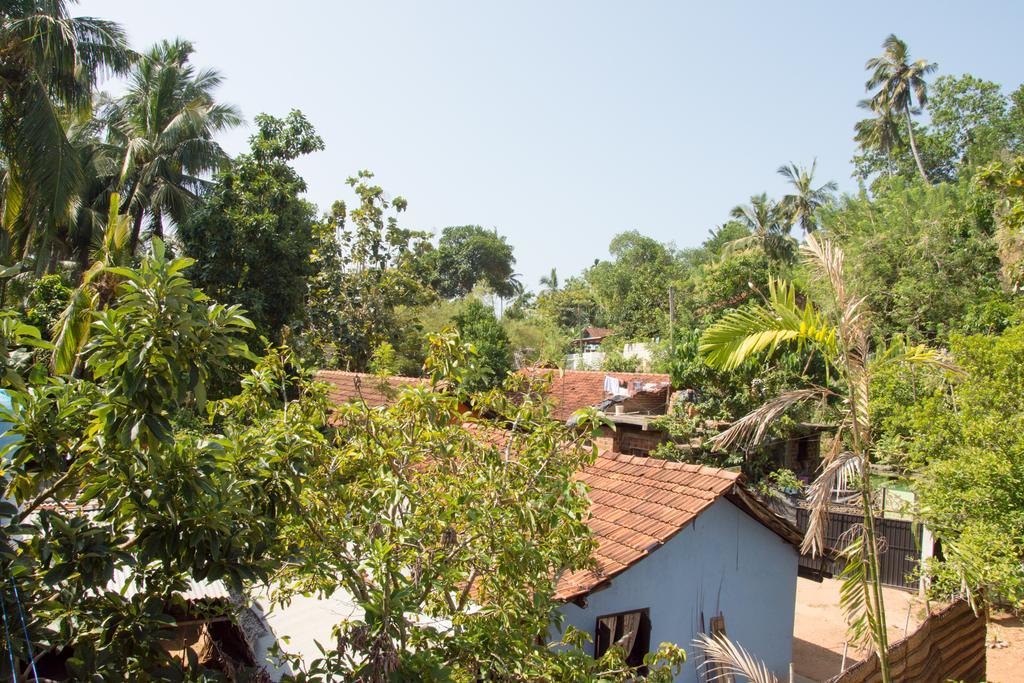 Garden Inn Mirissa Extérieur photo