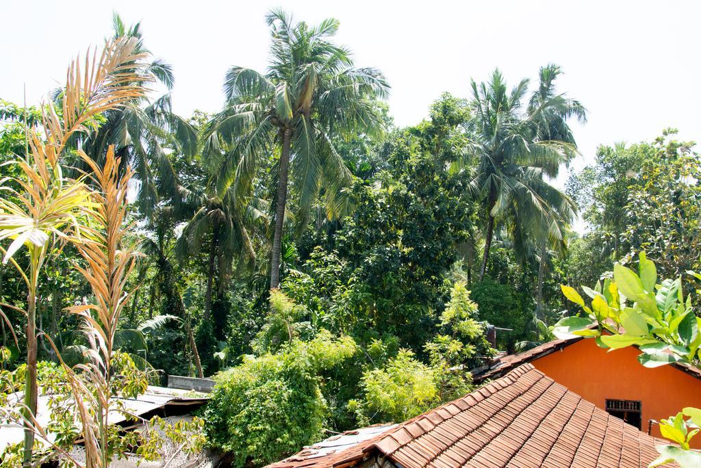 Garden Inn Mirissa Extérieur photo