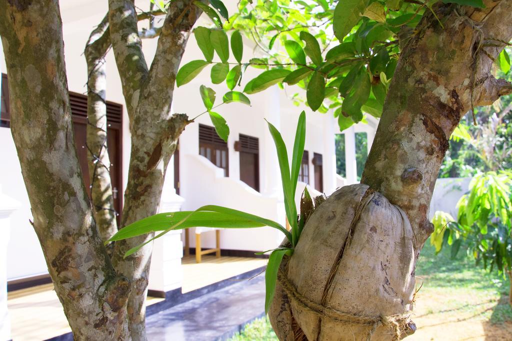 Garden Inn Mirissa Extérieur photo
