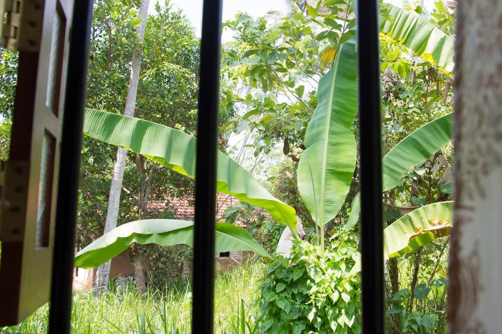 Garden Inn Mirissa Extérieur photo